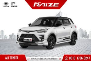 ALL NEW RAIZE